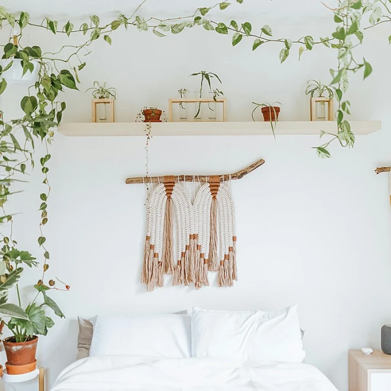 Mur vegetal : la tendance verte pour votre intérieur